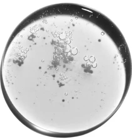 Ceramides